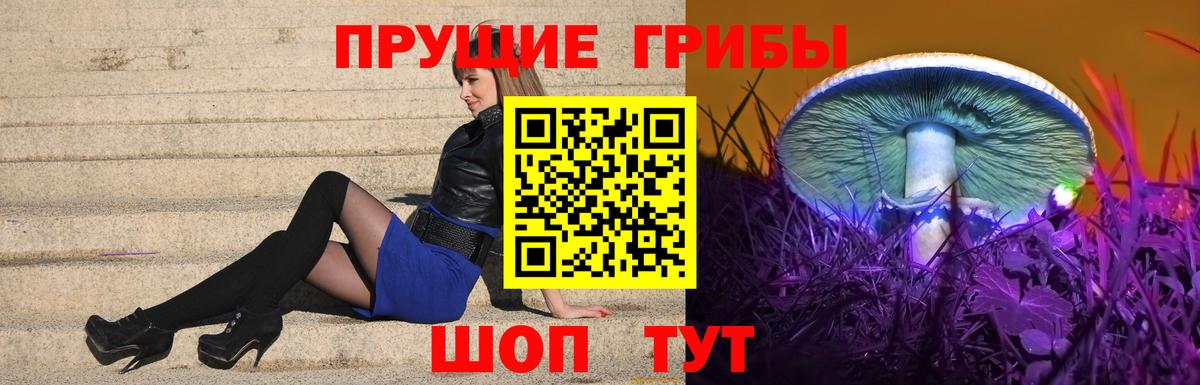 Галлюциногенные грибы Psilocybine cubensis Норильск