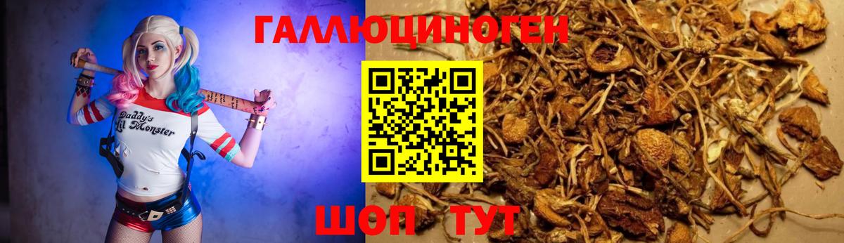 Норильск  Псилоцибиновые грибы мицелий  Галлюциногенные грибы ЛСД  Вход с VPN 